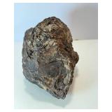 Rare stromatolite fossil