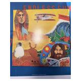 Beach Boy Double Album and Photo Album in protective sleeve