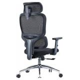 Sihoo M56C Ergonomic Office Chair