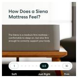 Siena 14" Twin XL Memory Foam Mattress in a Box