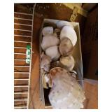 Seashells, Peel & Stick Paper and Tracing Paper