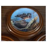(3) Decorative Bird Plates in Wooden Frames