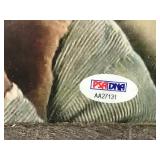 2 - Framed Autographed Pictures of Cheech & Chong with Certificates of Authenticity