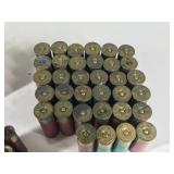 Lot of Shotgun Shells