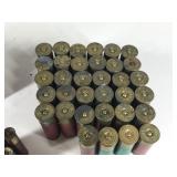 Lot of Shotgun Shells