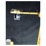 Battery operated child