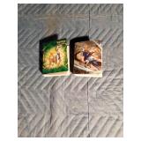 100 Pokémon cards in 2 Pokémon binders