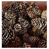 Bin of Decorative Pinecones