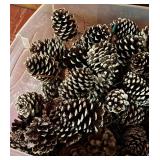 Bin of Decorative Pinecones