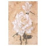 Beautiful White Rose Print by Zhang