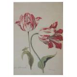 "Study of Tulips" Print by Jacob Marrel