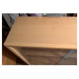 Glass Door Blonde Mid Century Bookcase #3