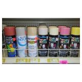 Spray Paint Cans (12), Mostly Premium Décor Assorted Colors.