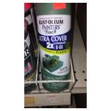 Spray Paint (11) Premium Décor, Fluorescents.