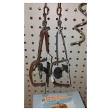 Traps, Feeders and More.