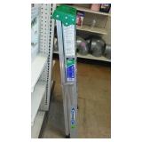 Werner 4 ft. Aluminum Ladder