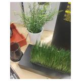 Office Supplies Collection: Shredder, Staplers, Decorative Items