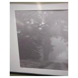 Framed Foggy Pathway Photo Print Art 25"x37"