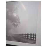 Framed Foggy Pathway Photo Print Art 25"x37"