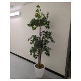 Artificial Ficus Tree in White Planter 6ft Decor