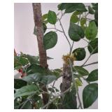 Artificial Ficus Tree in White Planter 6ft Decor