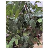 Artificial Potted Tree 6ft Indoor Decor