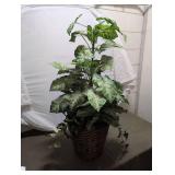 Artificial Variegated Plant in Woven Basket