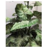 Artificial Variegated Plant in Woven Basket
