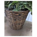 Artificial Variegated Plant in Woven Basket