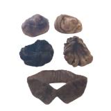 Wonderful Lot of Fur Hats and Mink Fur Collar in Nice Condition