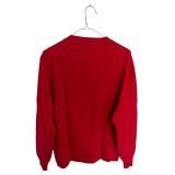 Vintage FOUR WINDS 100% Lambs Wool Red V-Neck Sweater (Men