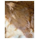 Vintage Whitetail Deer Rug, 36" x 42"