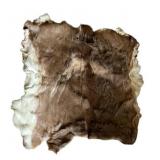 Vintage Whitetail Deer Rug, 36" x 42"