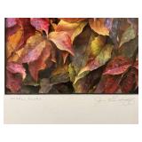 Framed and Signed Jim Gindorff "In Fall Glory" Art (11" x 14")