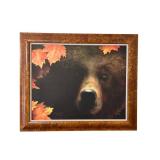 Grizzly Bear Canvas Art in Wonderful 20.5 x 24.5 Frame