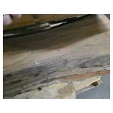 Stack of 7 pieces live/rough cut lumber not sure what type