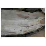 Stack of 10 pieces live/rough cut lumber not sure what type