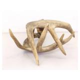 Sinew Connected Set of Deer Antlers