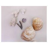 Large Lot of Sea Shells, Clam Shells, Conch Shells, etc.