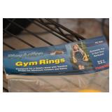 Play Action Gym Rings