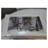 Assorted Prints - Wolf Theme
