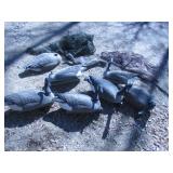 GEESE DECOY LOT