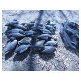 DUCK DECOY LOT