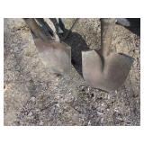 WHEELBARROW/SHOVELS