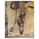 SPORTING CLAYS & TRAP TARGET LOT