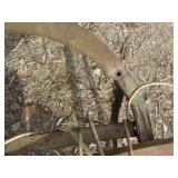 VINTAGE TOBOGGAN/ SLED LOT