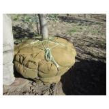 Oak - Pin, 13ft, 2-1/2" Caliper