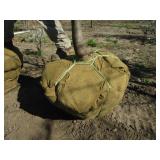 Oak - Pin, 13ft, 3" Caliper