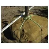 Oak - Pin, 15ft, 3-1/2" Caliper