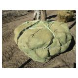 Oak - Burr, 14ft, 3-1/2" Caliper